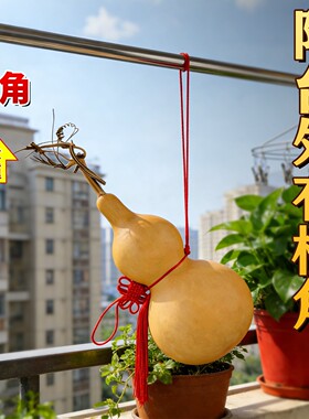 阳台摆放化解正对楼角天然