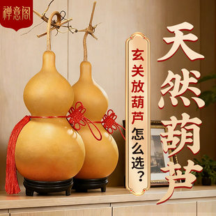 玄关摆件天然葫芦摆件挂件招财真开口大小号带客厅五帝钱门对门