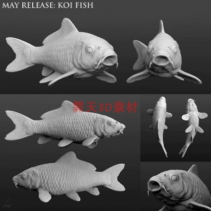 欢喜锦鲤koi fish鱼模型圆雕图纸3D打印白模模型STL高精数据文件