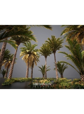 UE5.1沙漠植物灌木棕榈树模型Nanite Foliage Vol3 Desert