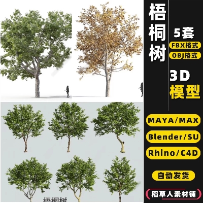 blender梧桐树乔木景观树Rhino犀牛SU/C4D/3Dmax模型FBX/OBJ/MAYA
