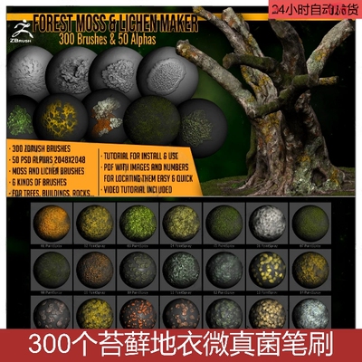 zbrush树皮地面青苔藓地衣雕刻笔刷zb地面绿藻植物藻类孢子笔刷