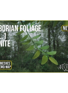 UE5.5写实森林场景ArborianStudio Foliage Vol.1 Nanite Forest