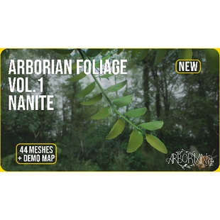 UE5.5写实森林场景ArborianStudio Vol.1 Nanite Forest Foliage