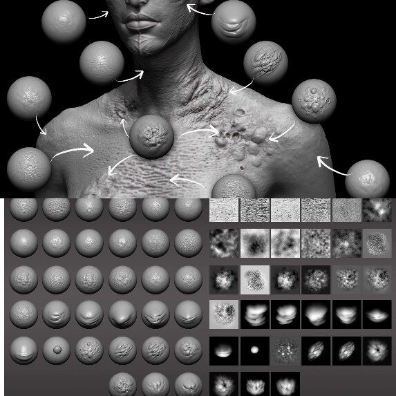 33款Zbrush生物动物表皮腹部赘肉丧尸皮肤腐肉烂肉Zb雕刻VDM笔刷