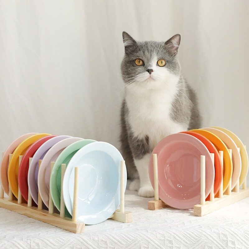 韩国飞碟盘猫碗陶瓷狗碗罐头零食碗宠物食盆bd双耳平替水碗