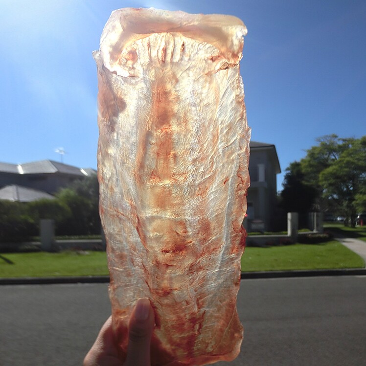 倩妈咪新西兰深海鱼鳕鳘花胶正品干货鸡汤料孕妇食材红顶280g12年