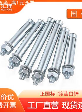 国标镀锌膨胀螺丝加长爆炸拉爆螺栓M6M8M10M12M14M16*70x80x100mm