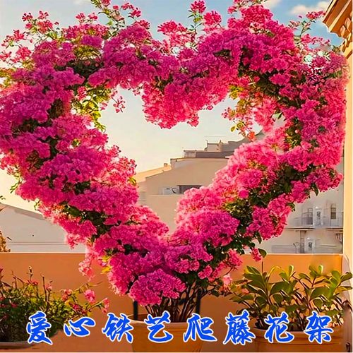 太阳植物攀爬架爱心造型铁艺