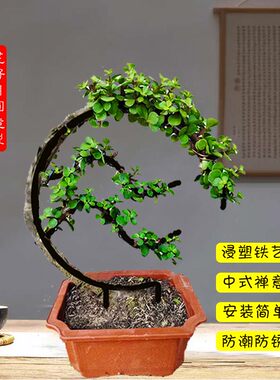 一眼心动绿植造景新中式造型花架