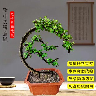 金枝玉叶六月雪植物攀爬架花好月圆造型爬藤架浸塑铁艺园艺花架
