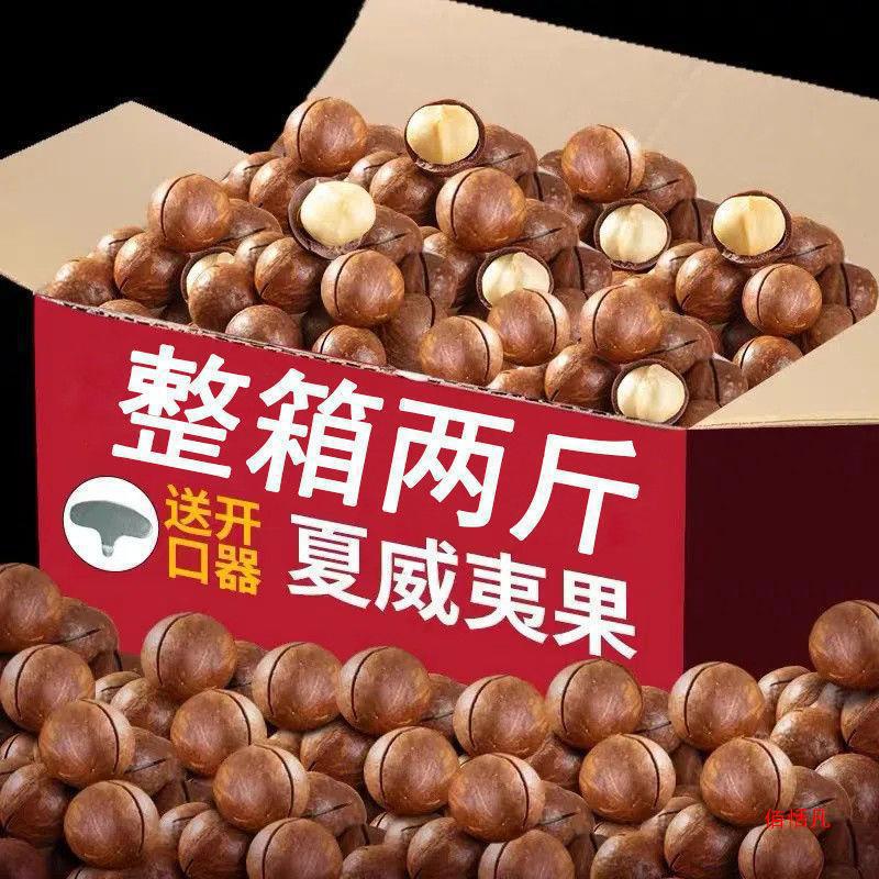 山姆必买夏威夷果大粒批货新好价夏夷2斤送开壳坚干炒年50现货