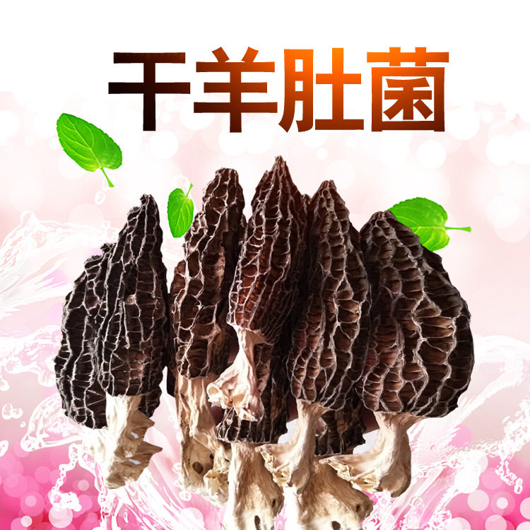 山姆冠必买羊肚菌干货云南特产松茸片羊肚香菇蘑菇煲汤干羊肚菌