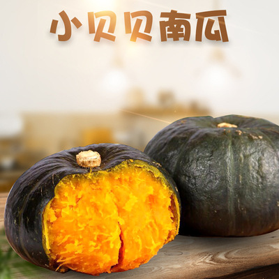 【严选】山东贝贝小南瓜发5斤粉糯辅食板栗味吊瓜应季新鲜蔬菜