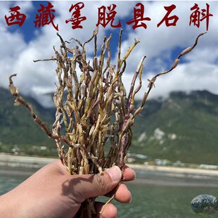西藏直发 50克包邮 西藏墨脱县天然石斛 干条 铁皮石斛 墨脱石斛