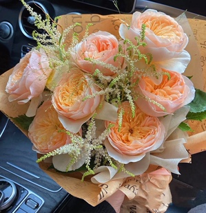 新森林鲜花朱丽叶新络妇组合纯洁真挚送人顺丰极品精选玫瑰