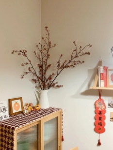 灯台木植物灯台树枝中式天然卧室客厅装饰侘寂风摄影水培水养