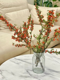 基地现采现发优质鲜花火把果火棘果沙棘果鲜切花水养客厅装饰