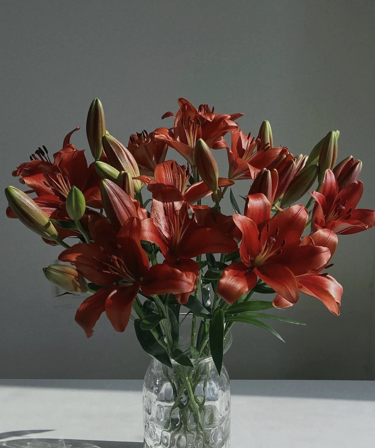 百合红宝石黑宝石基地直发优质百合高端百合精选优质亚百合顺丰