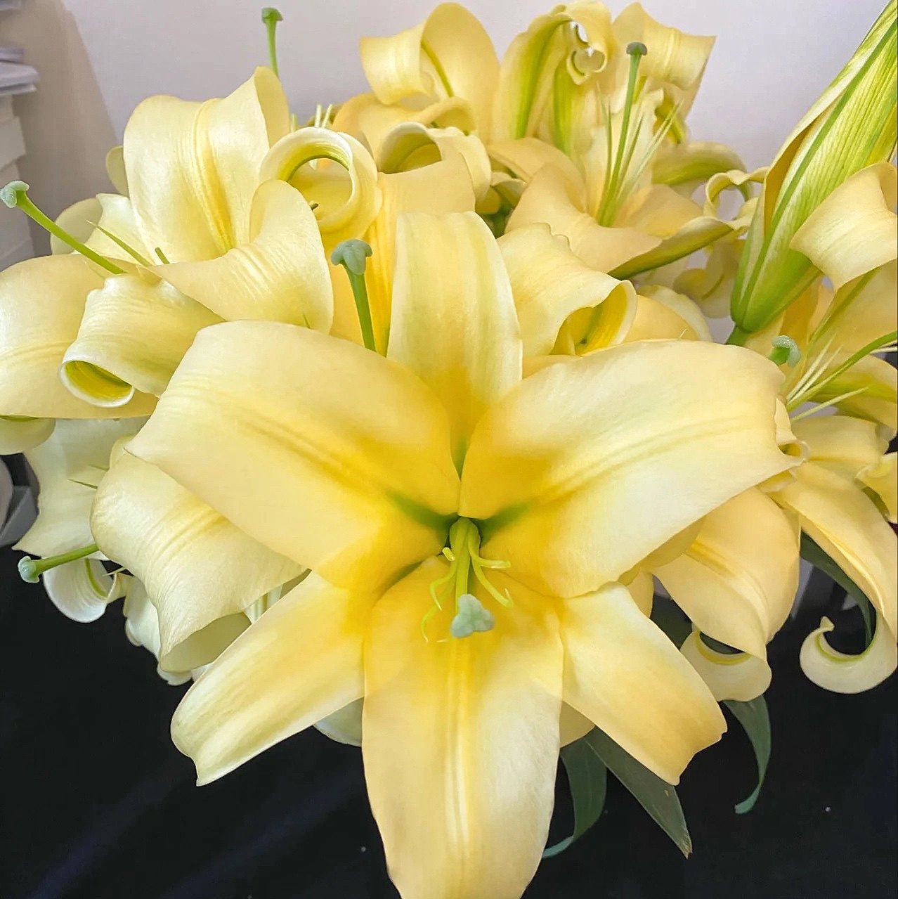 新森林皇帝百合香水百合鲜切花基地直发香味浓郁礼物送人顺丰