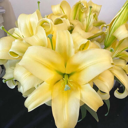 新森林皇帝百合香水百合鲜切花基地直发香味浓郁礼物送人顺丰