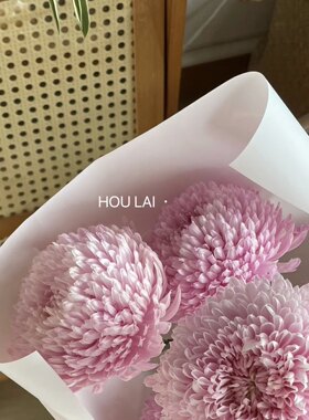 牡丹菊波斯菊大花头家庭办公室插花云南鲜花顺丰全店两把包邮鲜花