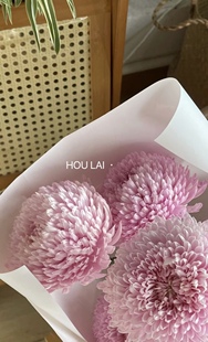 牡丹菊波斯菊大花头家庭办公室插花云南鲜花顺丰全店两把包邮鲜花