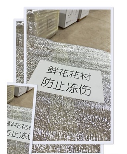 一次性保温袋冷藏袋运输隔热隔冷,不单拍