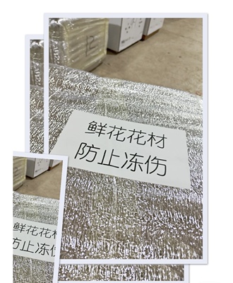 一次性保温袋冷藏袋运输隔热隔冷，不单拍