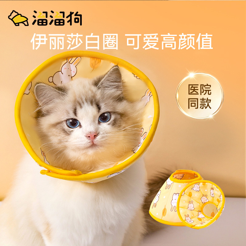 伊丽莎白圈猫咪绝育项圈