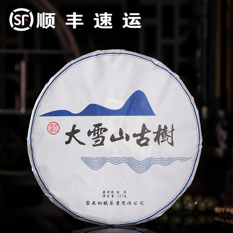 云南普洱茶2023年春茶大雪山古树生茶357g