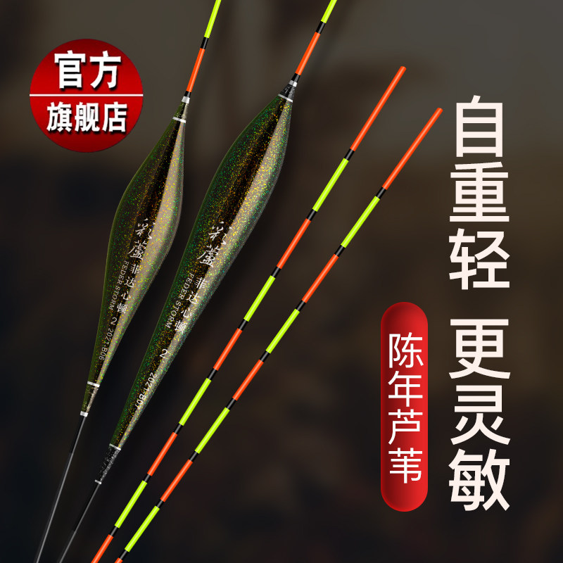 菲达心顿芦苇新品彩芦系列垂钓立式浮漂灵敏圆尾底钓漂鲫鱼鲤草鱼