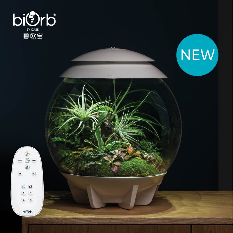 biOrb碧欧宝生态景观缸爬虫缸