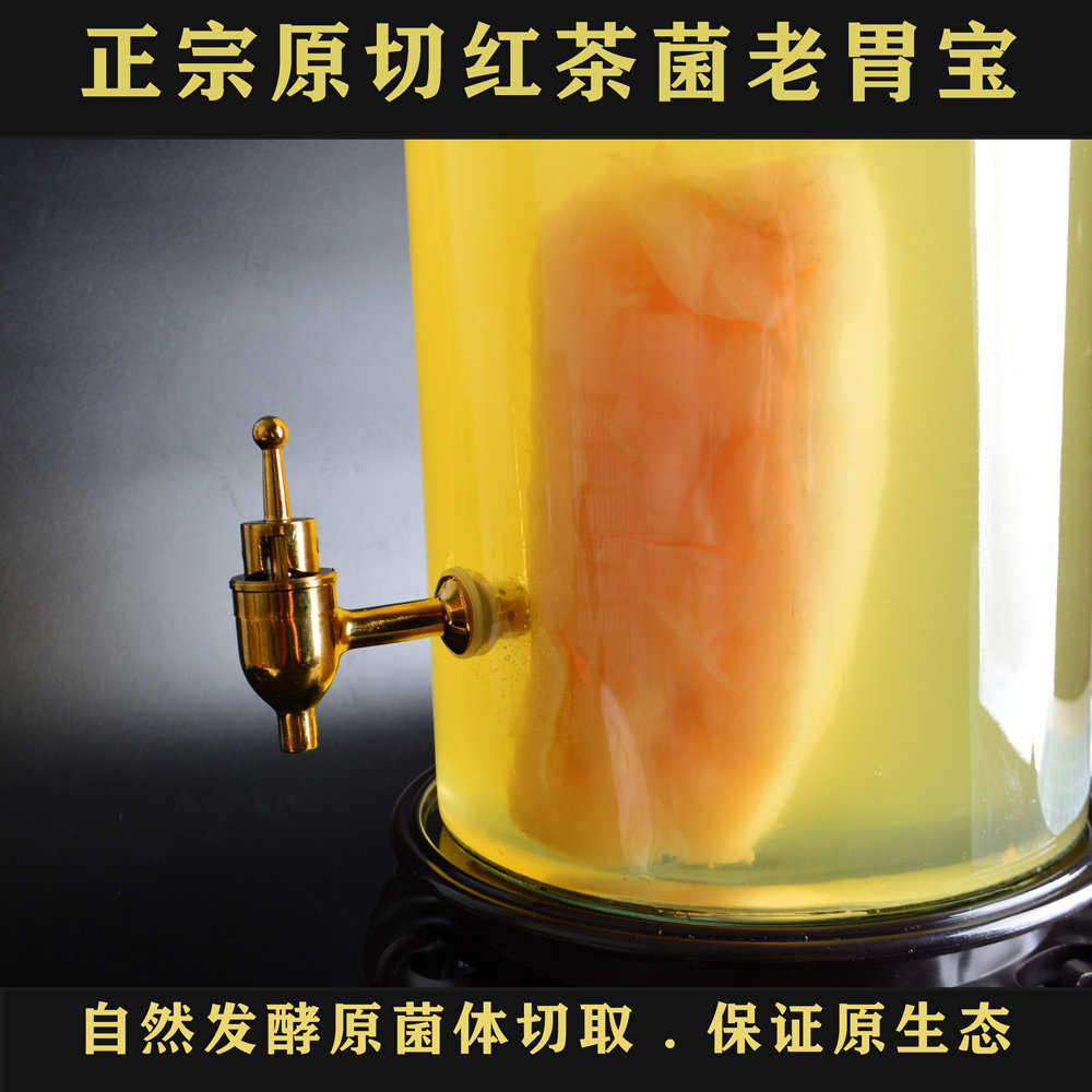 正宗高品质红茶菌种传统老胃宝海农技服务