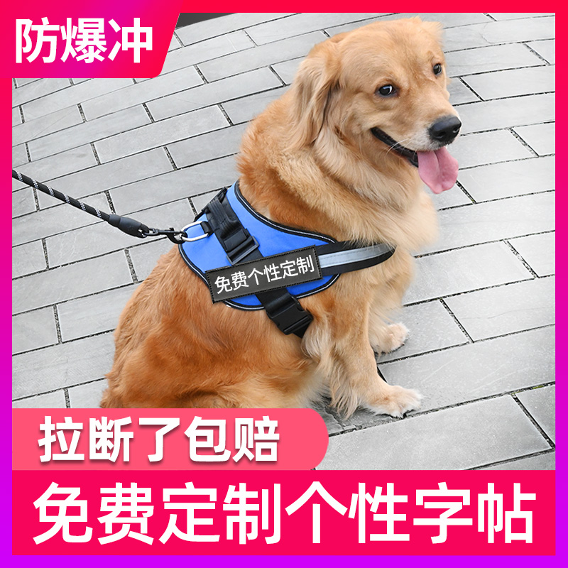 遛狗狗牵引绳背心式比熊中小型大型犬拉布拉多金毛用品狗链子项圈