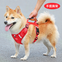 狗狗牵引绳防挣脱宠物胸背带柴犬柯基金毛中大型犬背心式小狗绳子