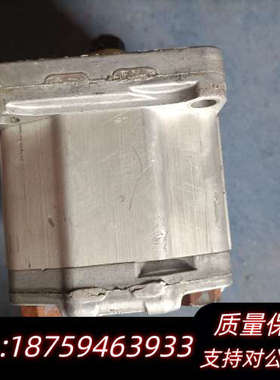 PATENTED 齿轮泵SNP2/6D，，划痕磕碰，实询价