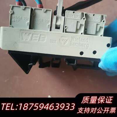 Wieland Bamberg控制器     邮询价