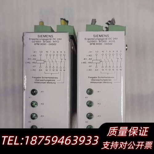 6FM8090-0AS02  G21003-B130.询价