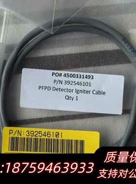 布鲁克PFPD点火线圈询价