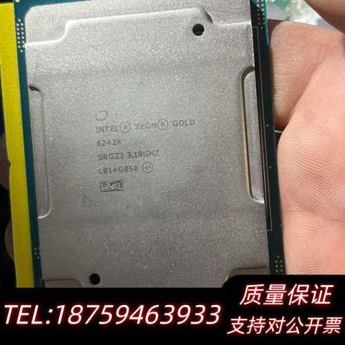 英特尔 至强 Gold 6242R cpu处理器没板.询价