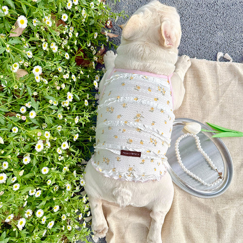 薄款透气的狗狗吊带裙