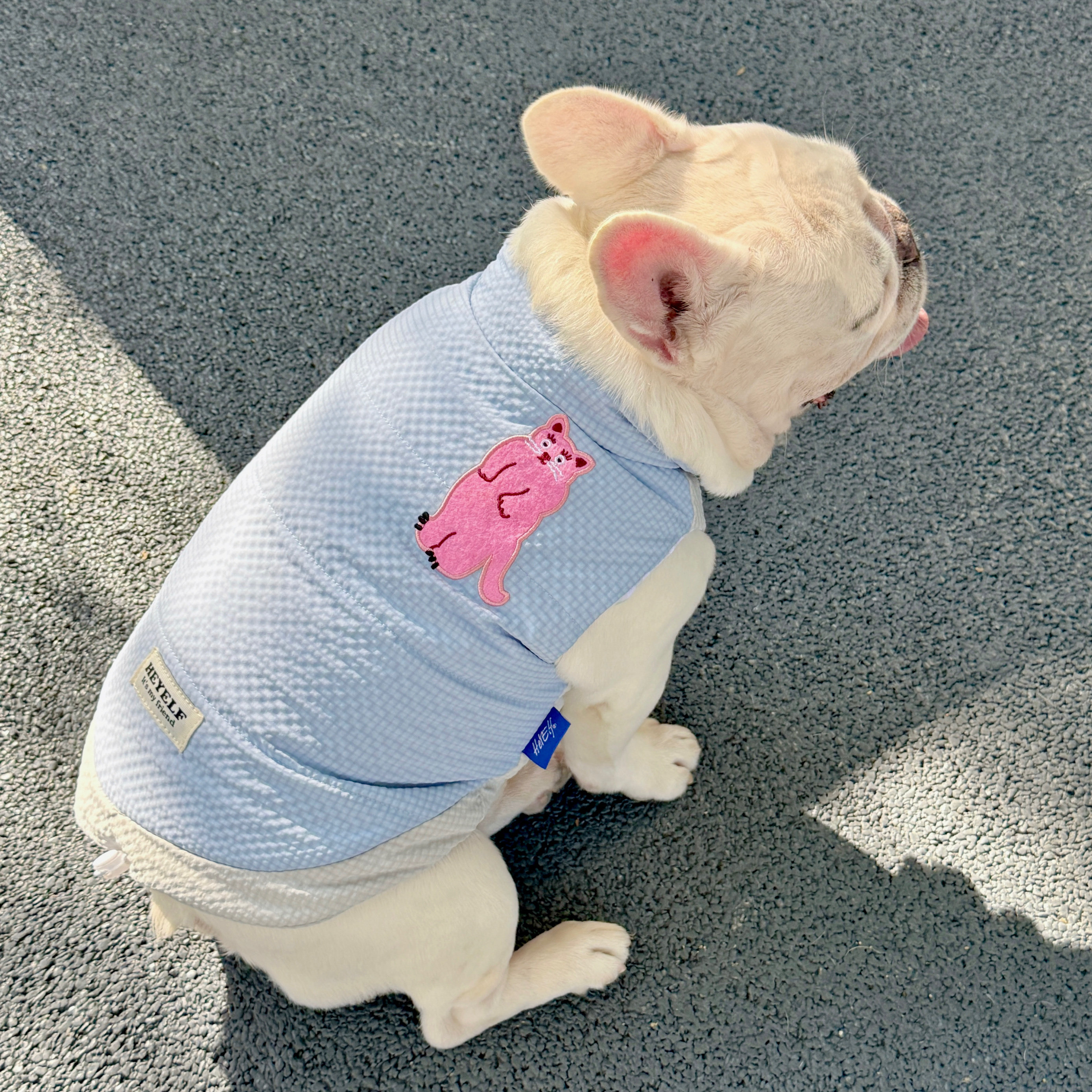 宠物棉衣狗狗棉服加厚雪纳瑞马甲