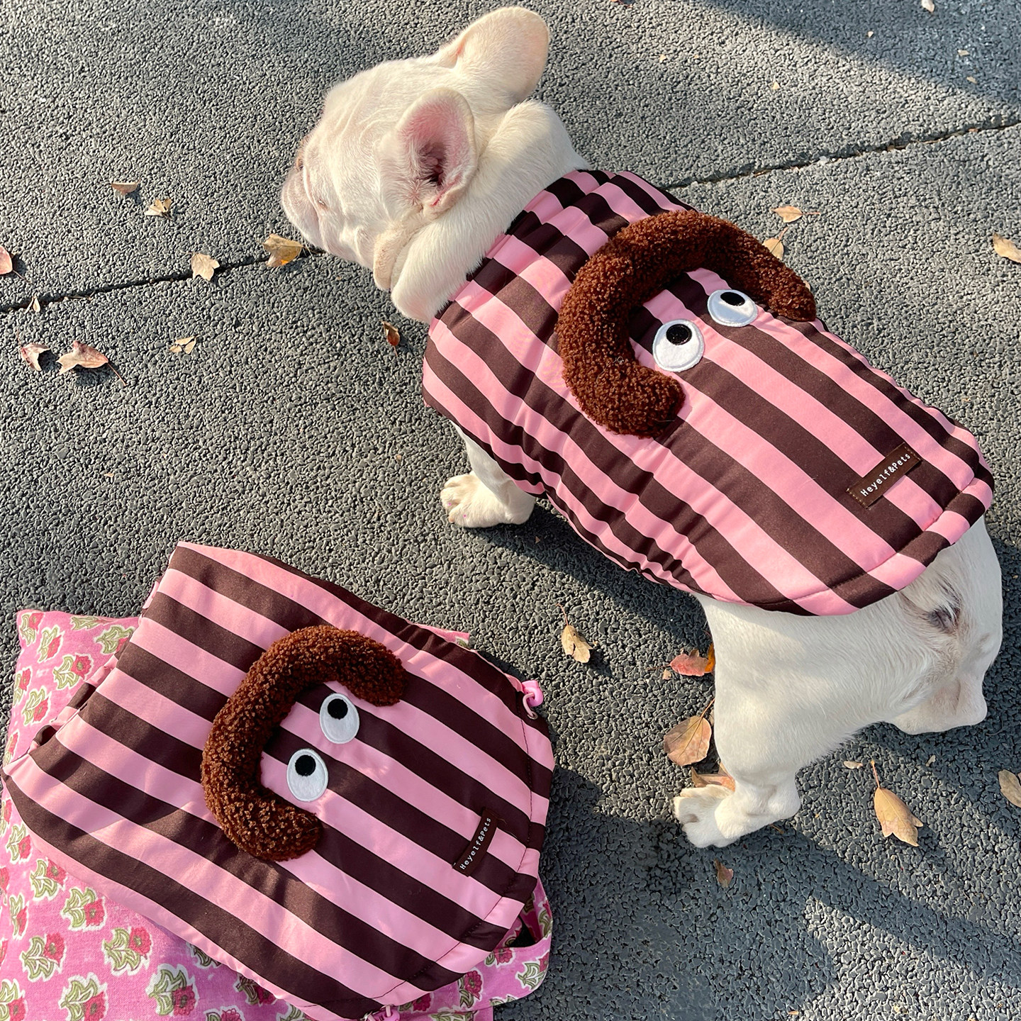 狗狗棉衣宠物棉服冬装加厚保暖