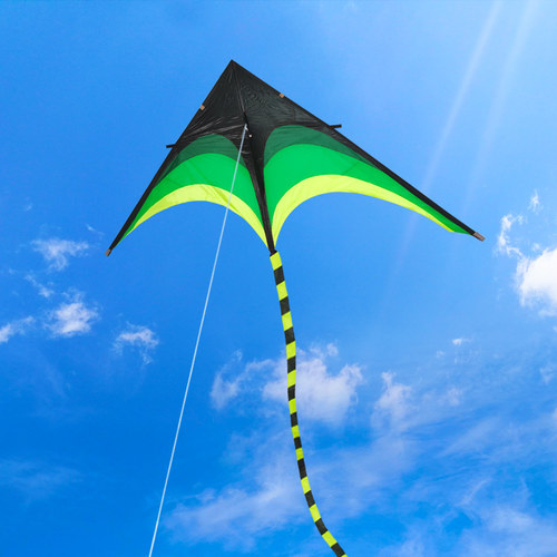 潍坊大型成人好飞易飞大草原风筝