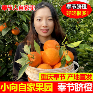 重庆奉节脐橙现货橙子新鲜10斤大果包邮当季20斤水果整箱手剥甜橙