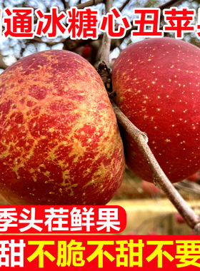 云南昭通丑苹果冰糖心苹果水果新鲜脆甜10斤红露富士当季整箱包邮