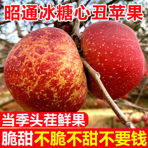 云南昭通丑苹果冰糖心整箱包邮