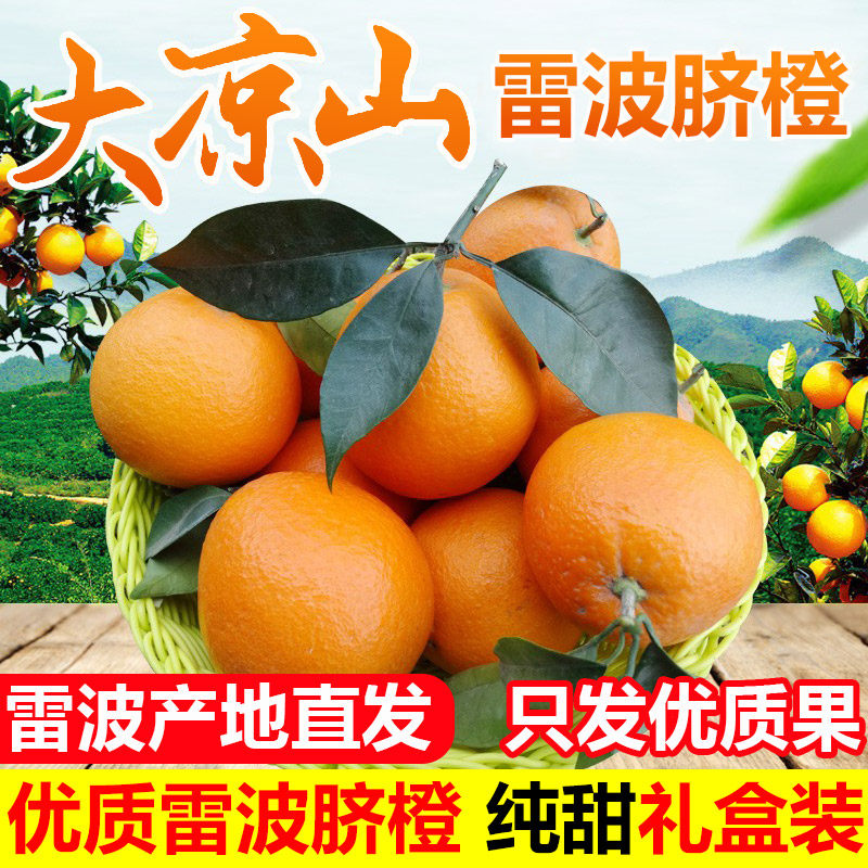 四川大凉山雷波脐橙新鲜橙子大果新鲜10斤当季整箱水果手剥橙包邮,水产肉类/新鲜蔬果/熟食,橙,淘宝优惠券,粉丝福利购,淘宝优惠卷