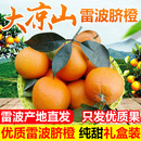 包邮 四川大凉山雷波脐橙新鲜橙子大果新鲜10斤当季 整箱水果手剥橙